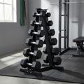 Dumbbell rack XTREXO black 3