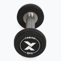 Rubber-coated cast iron dumbbell XTREXO Pro 2 kg black 6