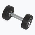 Rubber-coated cast iron dumbbell XTREXO Pro 8 kg black