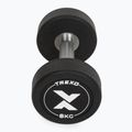 Rubber-coated cast iron dumbbell XTREXO Pro 8 kg black 7