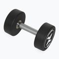 Rubber-coated cast iron dumbbell XTREXO Pro 12 kg black