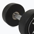 Rubber-coated cast iron dumbbell XTREXO Pro 12 kg black 9