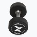 Rubber-coated cast iron dumbbell XTREXO Pro 16 kg black 7