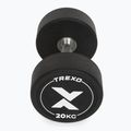 Rubber-coated cast iron dumbbell XTREXO Pro 20 kg black 7