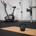 Cast-iron kettlebell TREXO 10kg black 6