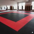 Mat Hook Fighting Puzzle Tatami blue 4