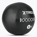 TREXO Wall Ball 5 kg black 2