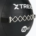 Medicine Ball TREXO Wall Ball 12 kg black 3