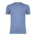 Men's thermal shirt WOOLCANO Merino 100% TEE0546 blue 4