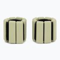 Ankle and wrist weights Xtrexo SCULPT FB205 Green