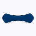 Dumbbell set XTREXO ND Blue 3