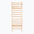Gymnastic ladder XTREXO LW100 wooden 5