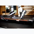 TREXO Walking Pad W150 electric treadmill black 8