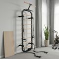 Gymnastic wall bars XTREXO MULTICORE PRO black 3