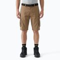 Men's shorts KADVA PathGear brown