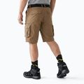 Men's shorts KADVA PathGear brown 2