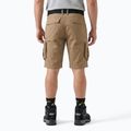 Men's shorts KADVA PathGear brown 3