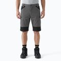 Men's shorts KADVA TerraLine gray