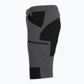 Men's shorts KADVA TerraLine gray 7