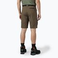 Men's shorts KADVA Seto brown 2