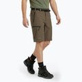 Men's shorts KADVA Seto brown 3