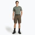 Men's shorts KADVA Seto brown 4