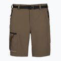 Men's shorts KADVA Seto brown 7