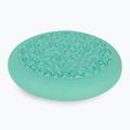 XTREXO hilly green sensory disc 3