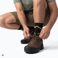 Men's trekking shoes KADVA Strike Low WP brown 5