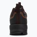 Men's trekking shoes KADVA Strike Low WP brown 11