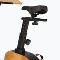 Electric bike XTREXO EB400-desk black 6
