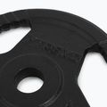 TREXO cast iron weight TRX-ICP002 2.5 kg chrome 3