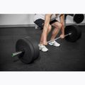 Olympic griffin TREXO TX-OBB220 grey 6