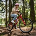 Children's bicycle ATTABO EASE 24" red 4