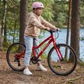 Children's bicycle ATTABO EASE 24" red 6