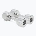 XTREXO chrome dumbbells 2x6 kg silver