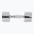 XTREXO chrome dumbbells 2x6 kg silver 4