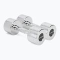 XTREXO chrome dumbbells 2x7 kg silver