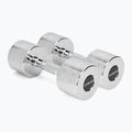 XTREXO chrome dumbbells 2x9 kg silver