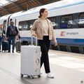 Large travel suitcase Kadva Tigre 96l Silver 16