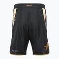 Men's HOOK FIGHTING Ready To Spar training shorts black 8