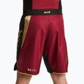 Men's HOOK FIGHTING Ready To Spar training shorts red 2