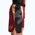 Men's HOOK FIGHTING Ready To Spar training shorts red 4