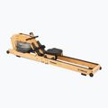 Water rower XTREXO TimberFlow