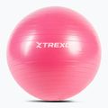 XTREXO Gymball TXO-B4Z007-PK 55 cm pink