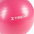 XTREXO Gymball TXO-B4Z007-PK 55 cm pink 5