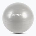 XTREXO Gymball TXO-B4Z007-GY 55 cm grey