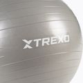 TREXO Gymball TXO-B4Z007-GY 55 cm grey 6