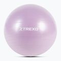 Gymnastic ball XTREXO TXO-B4Z008-VT 65 cm purple