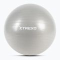 TREXO Gymball TXO-B4Z008-GY 65 cm grey